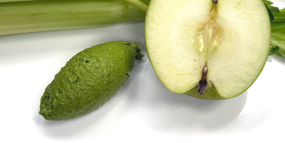Apple celery sorbet